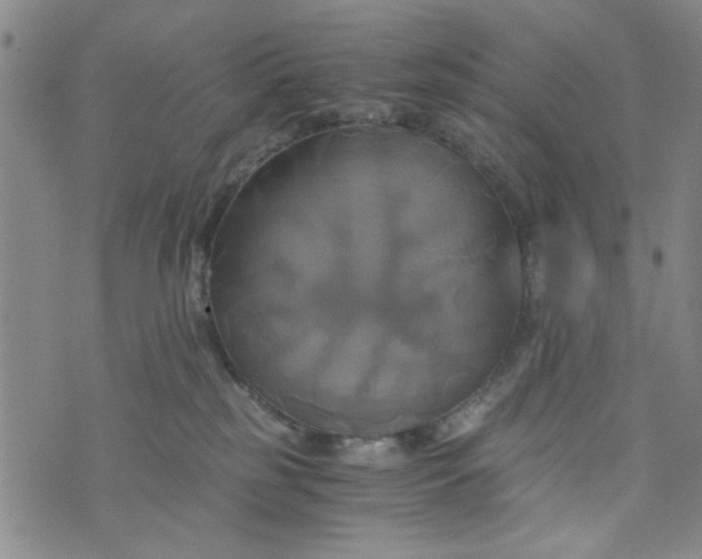 X0000076330185200610161718