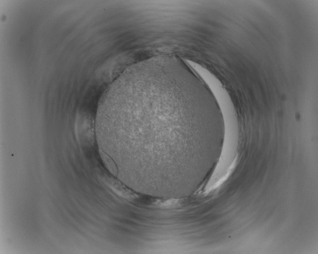 X0000076330186200610161718