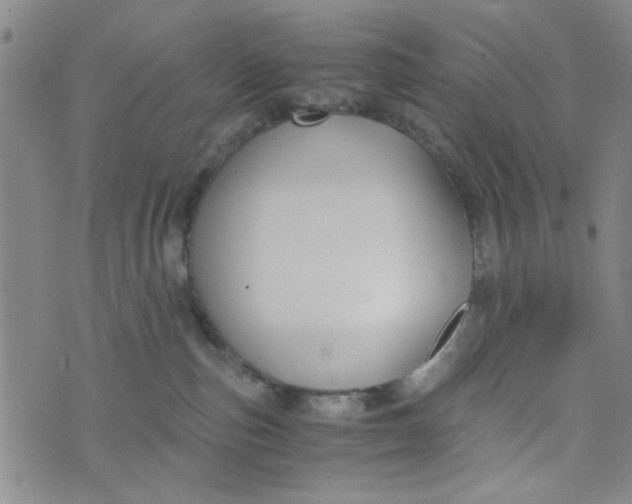 X0000076330187200610161718