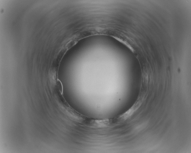 X0000076330188200610161718