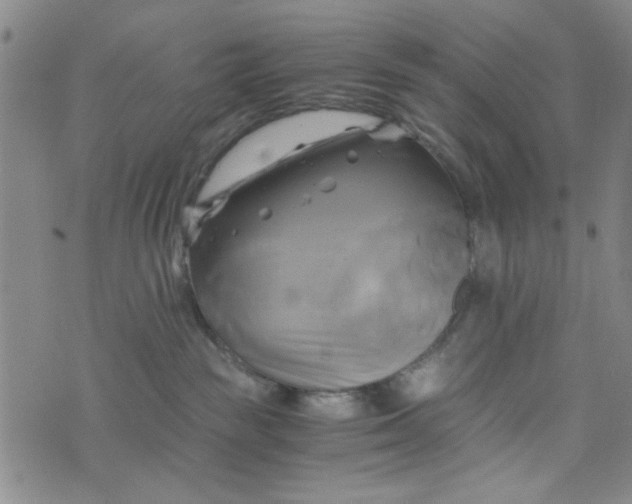 X0000076330189200610161718