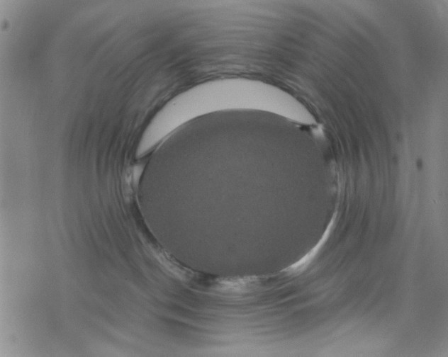 X0000076330190200610161718