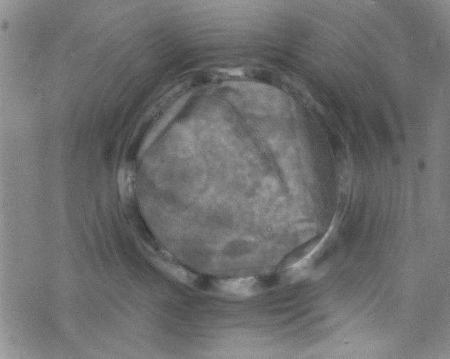 X0000076330191200610161718