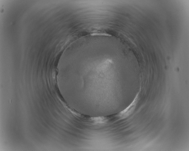 X0000076330192200610161718