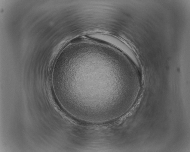 X0000076330193200610161717