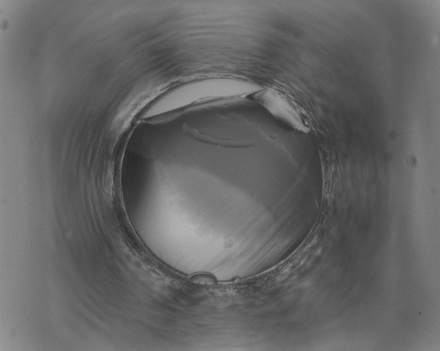 X0000076330194200610161717