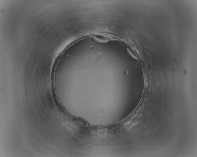 X0000076330196200610161717