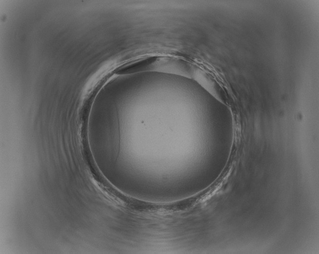 X0000076330197200610161717