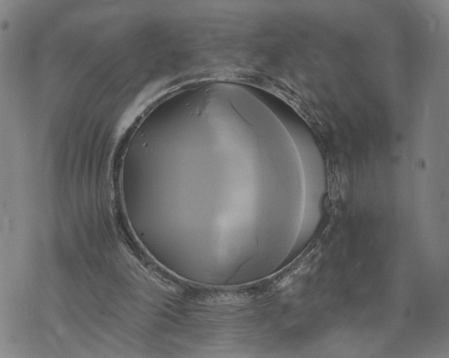 X0000076330198200610161717