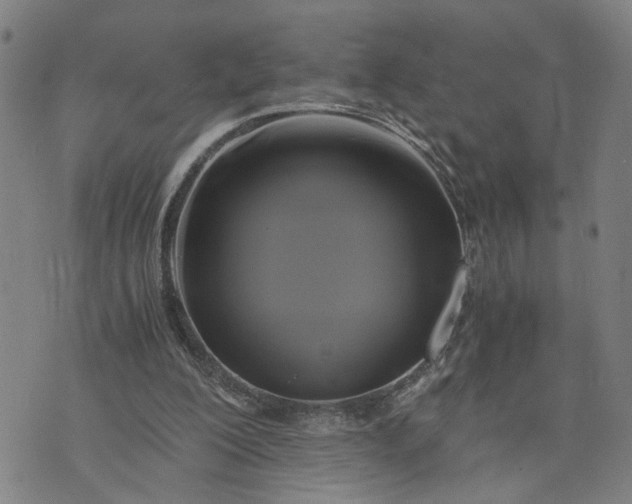 X0000076330200200610161717