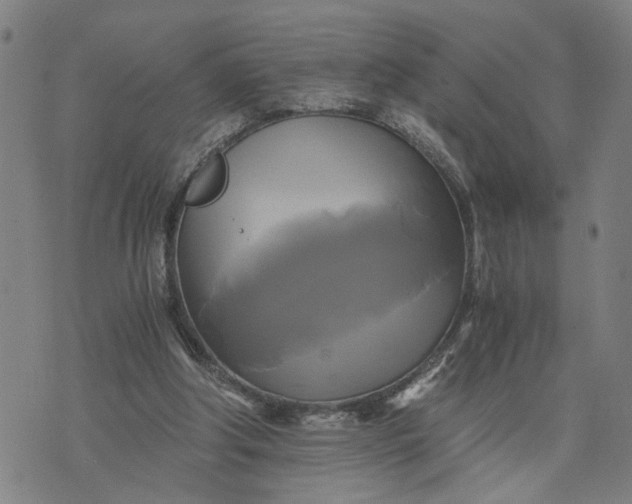 X0000076330202200610161717