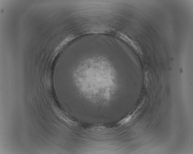 X0000076330203200610161717