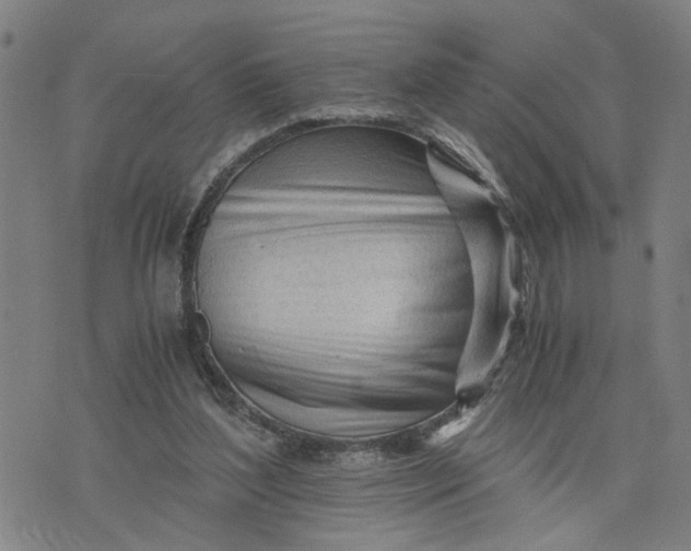 X0000076330204200610161717