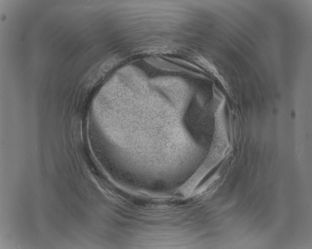 X0000076330205200610161717