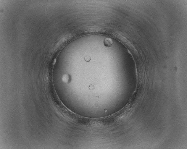 X0000076330207200610161717