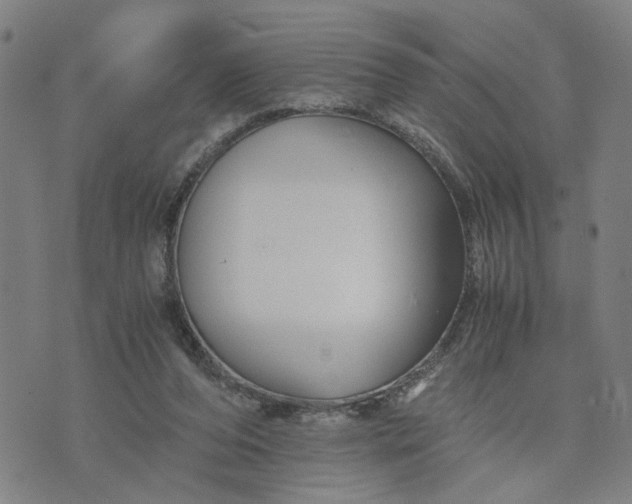 X0000076330208200610161717