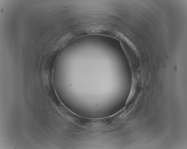 X0000076330209200610161717