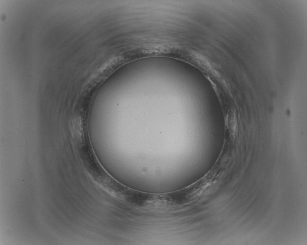 X0000076330211200610161717