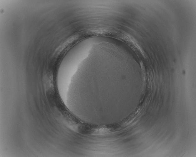 X0000076330212200610161717