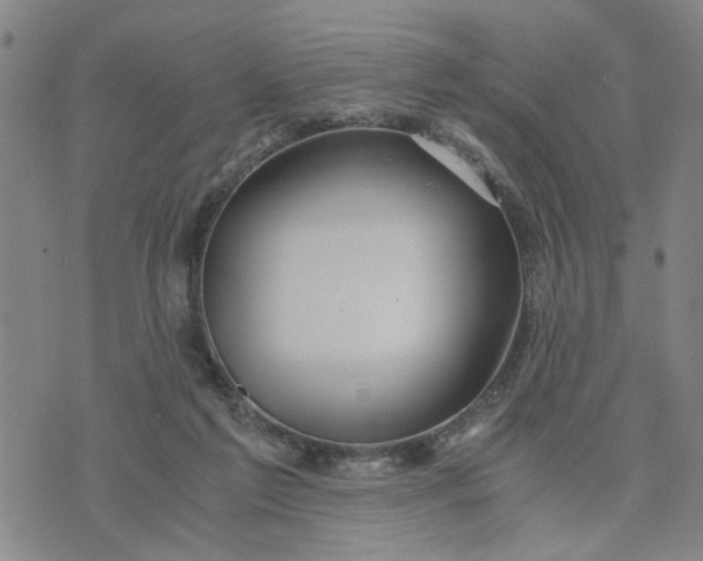 X0000076330213200610161717