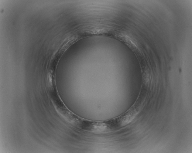 X0000076330214200610161717