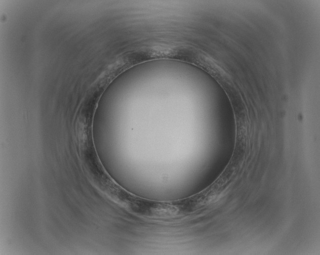 X0000076330215200610161717