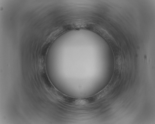 X0000076330218200610161717