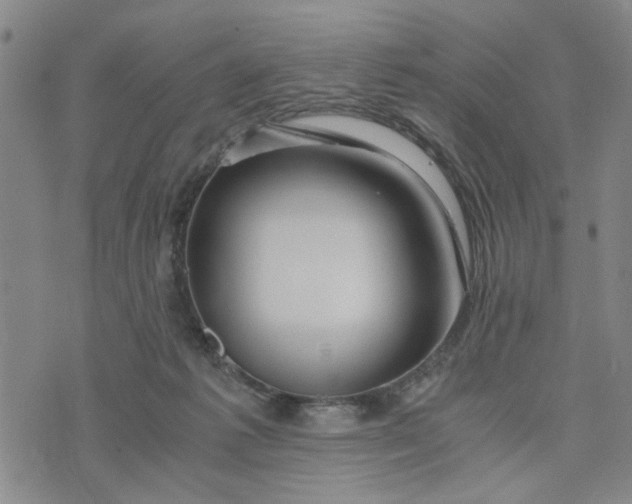 X0000076330221200610161717