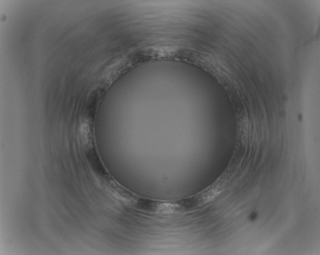 X0000076330222200610161717