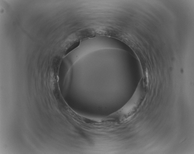 X0000076330223200610161717