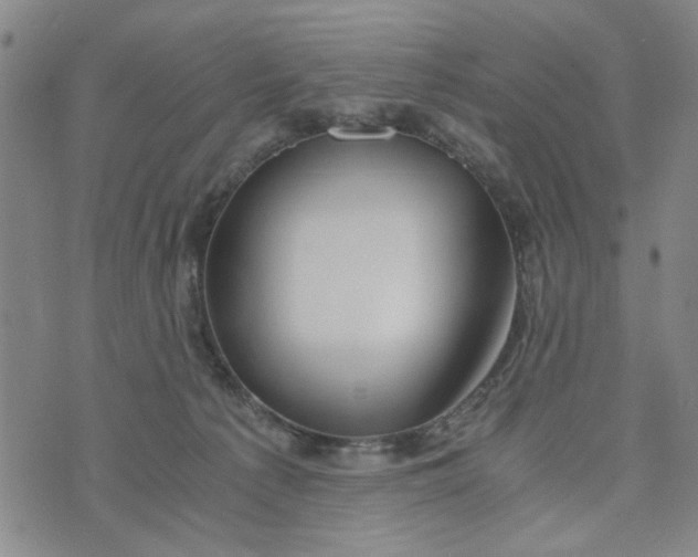 X0000076330225200610161717