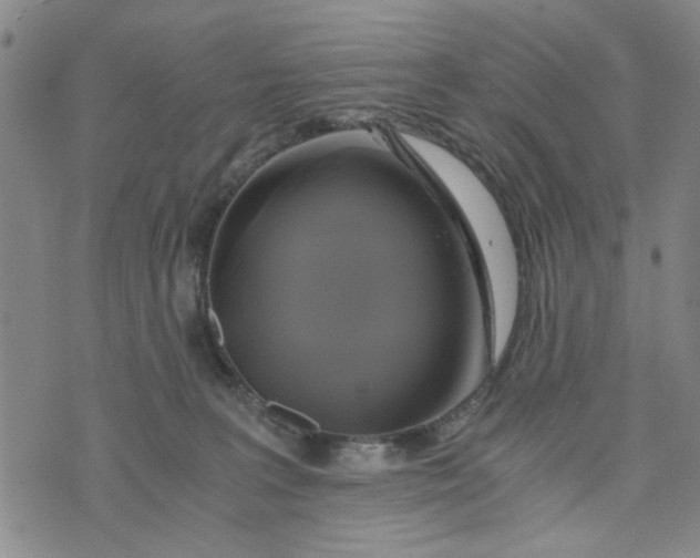 X0000076330227200610161717