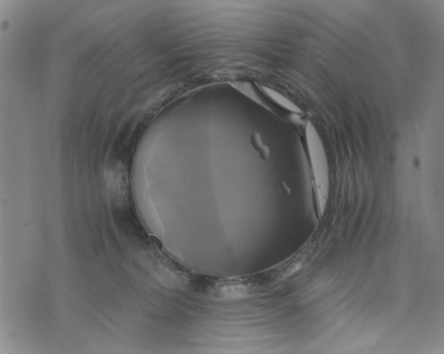 X0000076330228200610161717