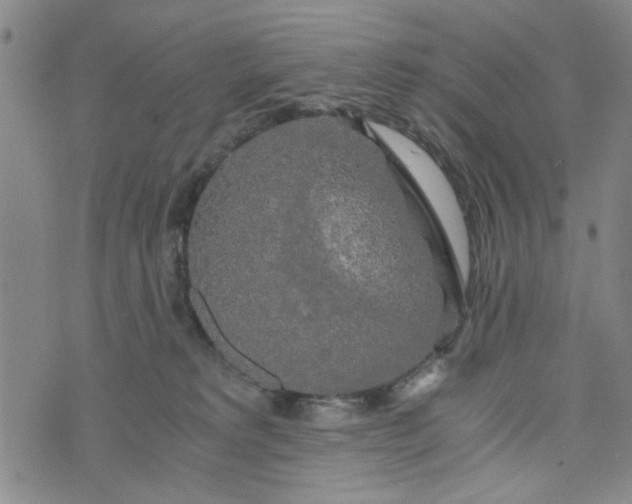 X0000076330229200610161717