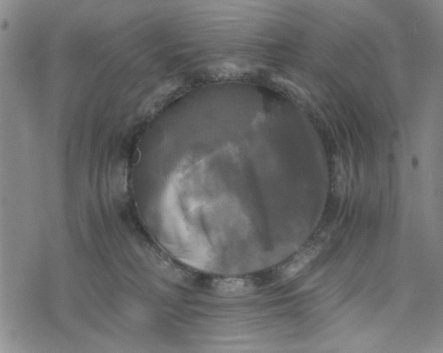 X0000076330230200610161717