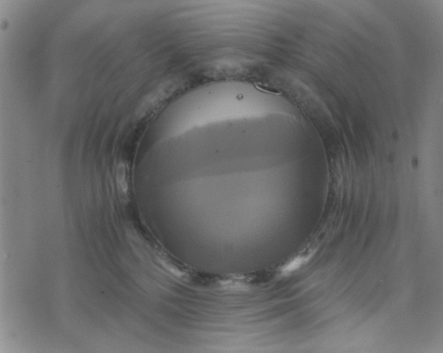 X0000076330232200610161717