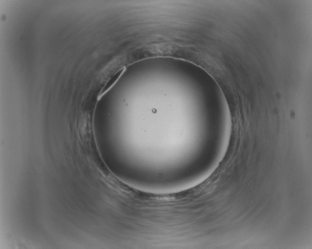 X0000076330233200610161717