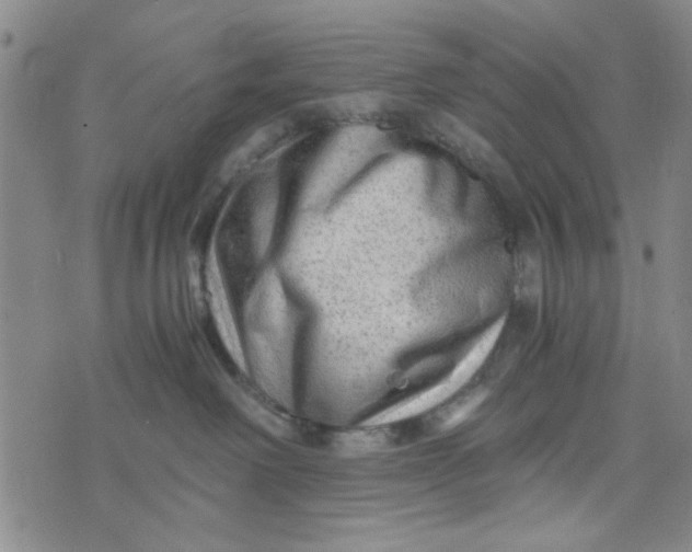 X0000076330238200610161716
