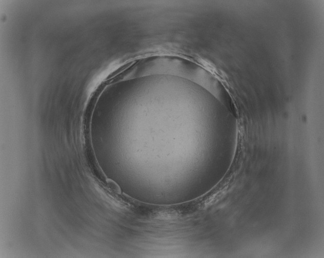 X0000076330248200610161716
