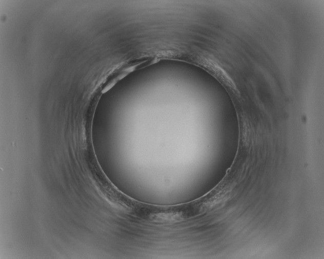 X0000076330251200610161716