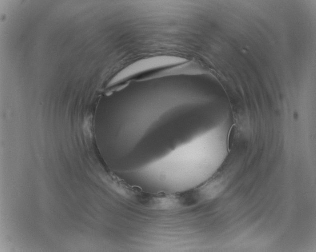 X0000076330286200610161716
