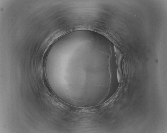 X0000076330290200610161716
