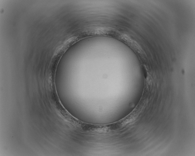 X0000076330306200610161715