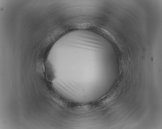 X0000076330307200610161715
