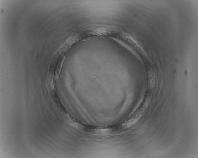 X0000076330313200610161715