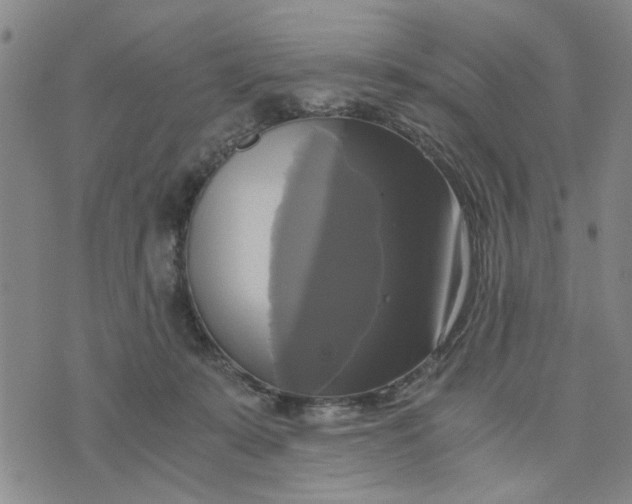 X0000076330319200610161715