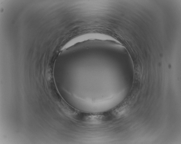 X0000076330323200610161715
