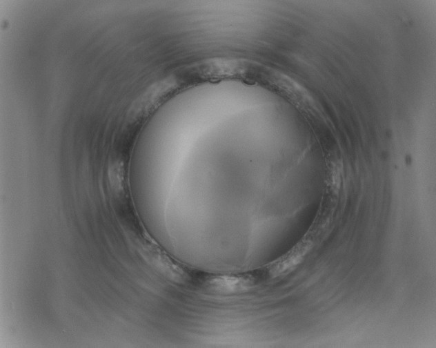 X0000076330326200610161715