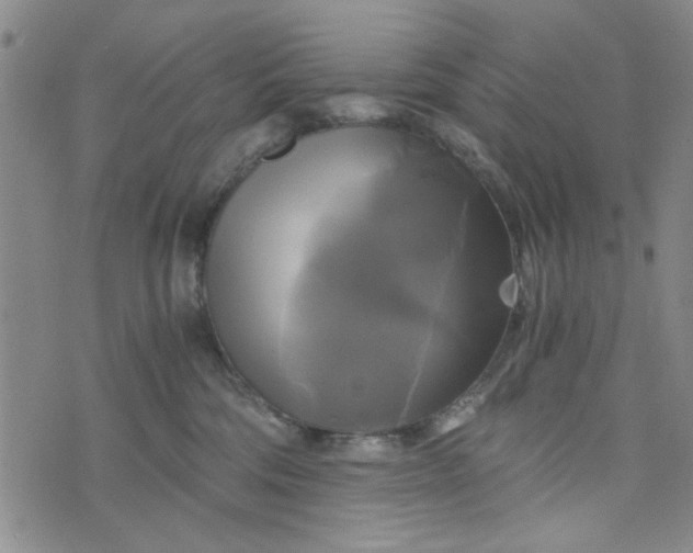 X0000076330330200610161715