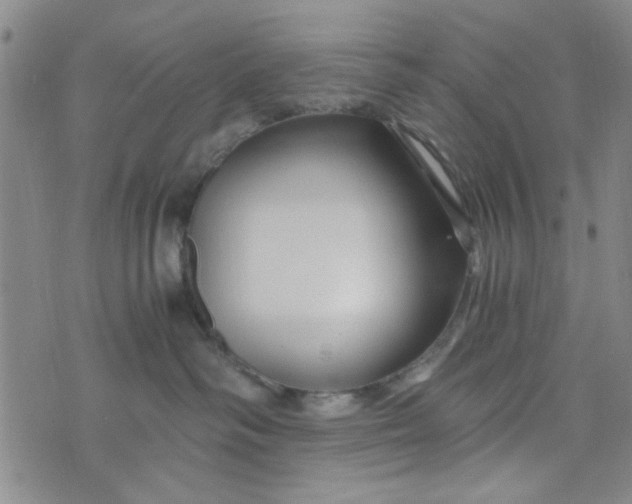 X0000076330334200610161715